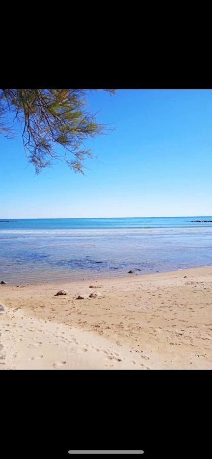 شقة Le Coeur Des Sables Le Grau-dʼAgde المظهر الخارجي الصورة